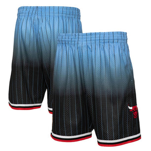 Chicago Bulls Light Blue 95/96 Classic  Shorts