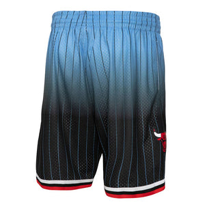 Chicago Bulls Light Blue 95/96 Classic  Shorts