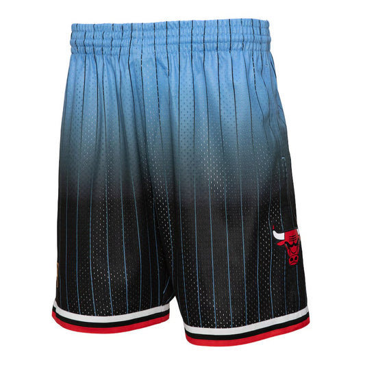 Chicago Bulls Light Blue 95/96 Classic  Shorts